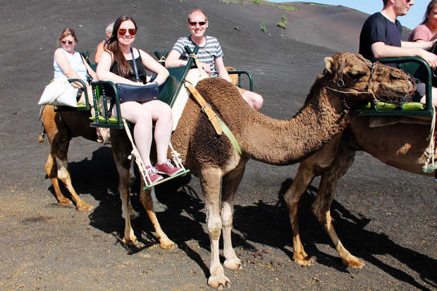 Camel Rides, Timanfaya National Park, Lanzarote