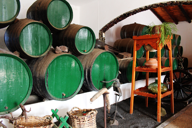 Traditional Vineyard, Lanzarote