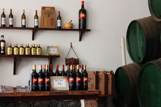 Traditional Vineyard, Lanzarote