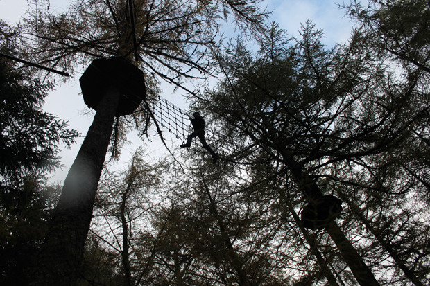Cargo Net, Go Ape, Whinlatter Forest