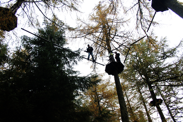 Crossing, Go Ape, Whinlatter Forest