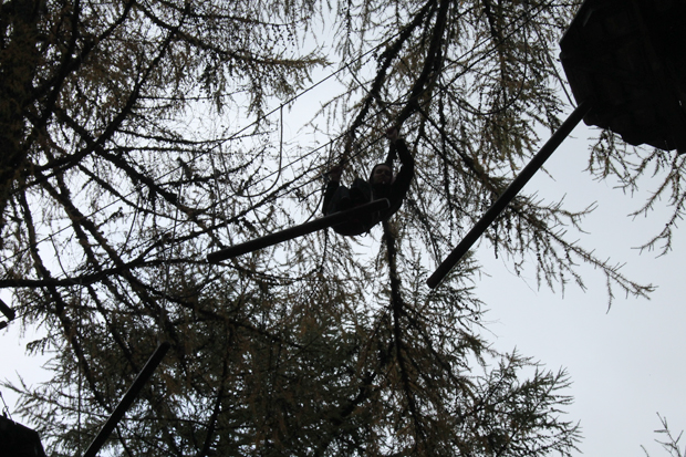 Crossing Fail, Go Ape, Whinlatter Forest