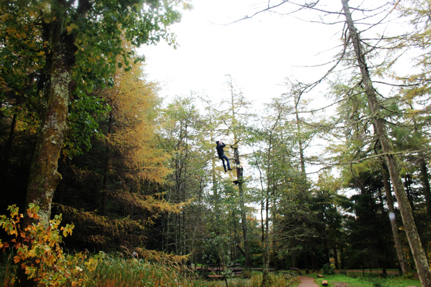 Small Zip Wire, Go Ape, Whinlatter Forest