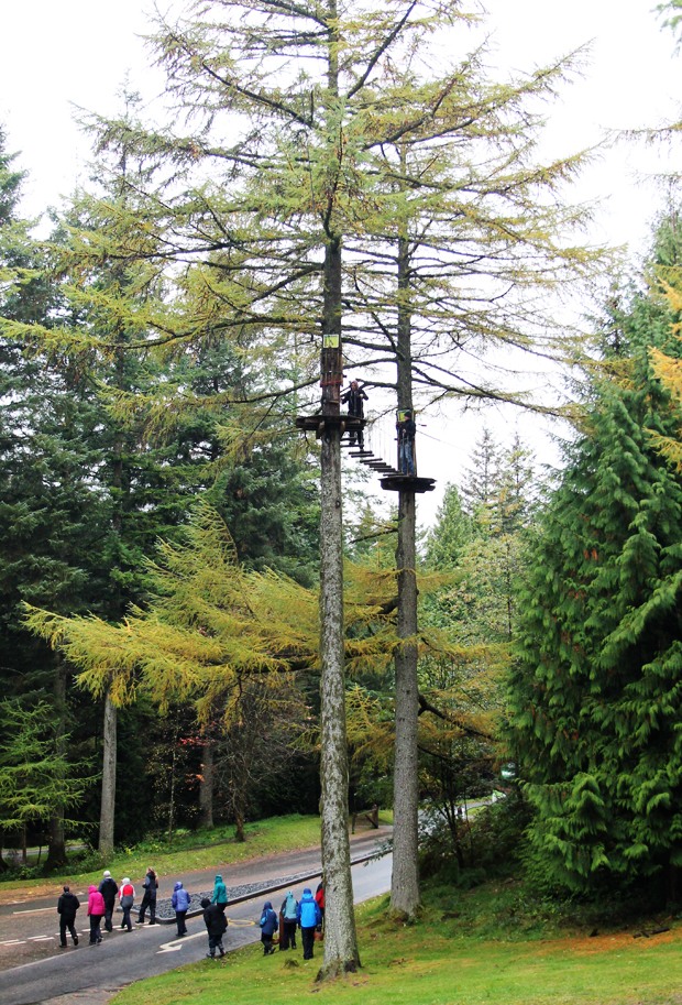 Tall Zip Wire, Go Ape, Whinlatter Forest